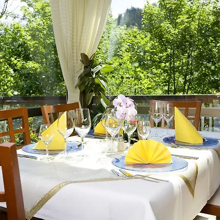 מלון Europarkhotel International