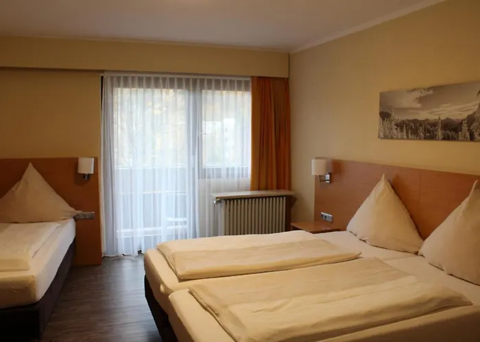 Europarkhotel International 4* 福森